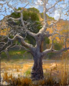 American Legacy Fine Arts presents "Bare Branches; Malibu Creek State Park" a painting by Peter Adams.