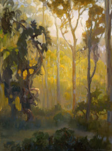 American Legacy Fine Arts presents "Afternoon in the Eucalyptus Forest" a painting by Peter Adams.