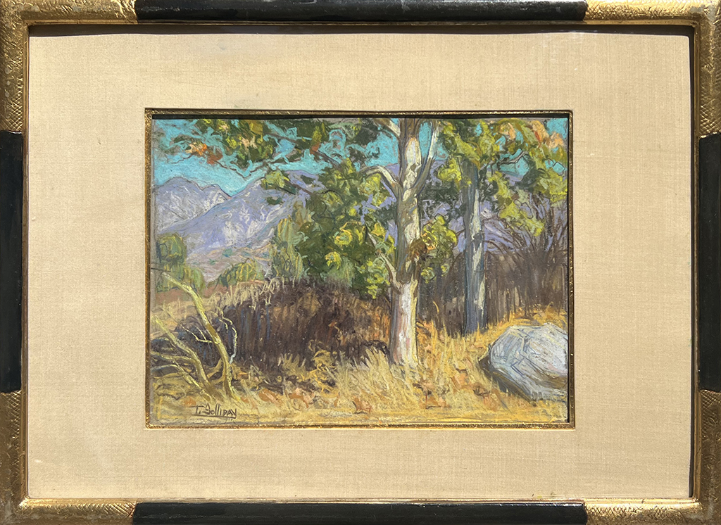 Tim Solliday Artist Pastel landscape, trees , Mountains