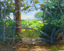 American Legacy Fine Arts presents "Hidden View" a painting by Peter Adams.