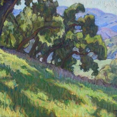 American Legacy Fine Arts presents "Hillside Meadow" a painting by Tim Solliday.