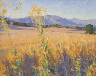 "In midsummer, the colors of California have transformed from vibrant spring greens to the dry hues of our golden state. This painting is an exploration of that golden glow across the Ojai Valley."
—Dan Schultz @danschultzart
"Golden Fields”, oil on panel, 16” x 20”
Painting available through American Legacy Fine Arts.
#pleinair #landscapepainting #painting #artgallery #contemporarytraditionalart #contemporaryart #artcollection #contemporaryartist #artforsale #artcollector #artcollectors #artforthehome #originalart #oilpainting #buyart #artcurator #fineart #paintings #painter #californiaartist #californiaart #californiaartists