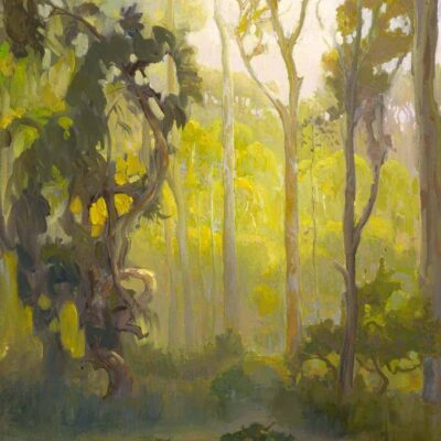 American Legacy Fine Arts presents "Afternoon in the Eucalyptus Forest" a painting by Peter Adams.