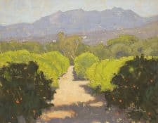 American Legacy Fine Arts presents "Sunlit Orchard" a painting by Dan Schultz.