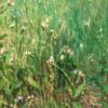 American Legacy Fine Arts presents "Thistles" a painting by Ramón Hurtado.