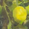 American Legacy Fine Arts presents "California Lemon Tree" a painting by Quang Ho.