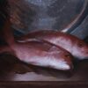 American Legacy Fine Arts presents "Red Snapper" a painting by Adrian Gottlieb.