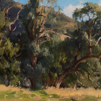 American Legacy Fine Arts presents "Eucalyptus in White Light" a painting by Joseph Paquet.