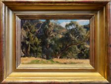 American Legacy Fine Arts presents "Eucalyptus in White Light" a painting by Joseph Paquet.