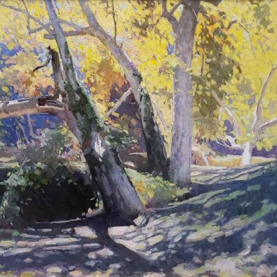 American Legacy Fine Arts presents " Shadow and Light, Pasadena Arroyo" a painting by Calvin Liang.