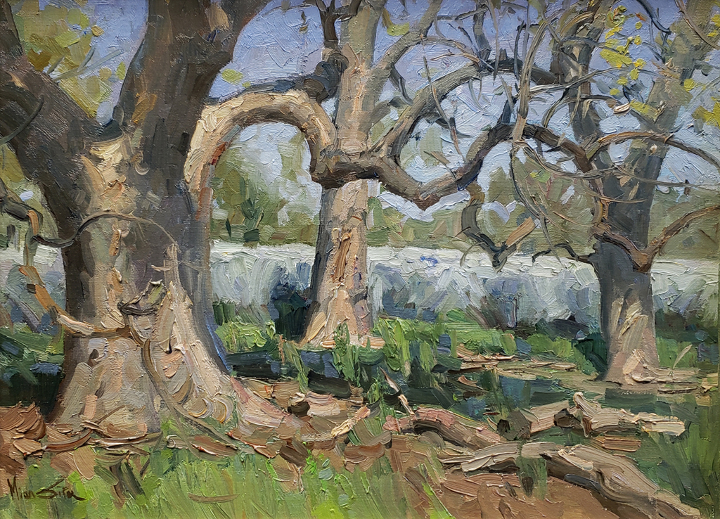 American Legacy Fine Arts presents "Oaks in Tejon Ranch" a painting by Mian Situ.