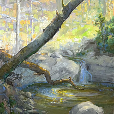 American Legacy Fine Arts presents "Fallen Trees, Strawberry Peak" a painting by Peter Adams.