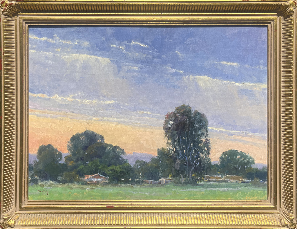 John Budicin Artist Oil Painting Landscape, sunset, trees
